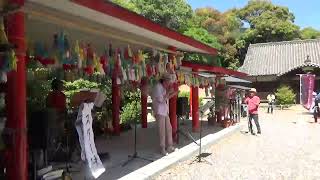 05172026 Kainan Hotto Walk In Kasuga Shrine Ken Nishimoto Mah01357 1