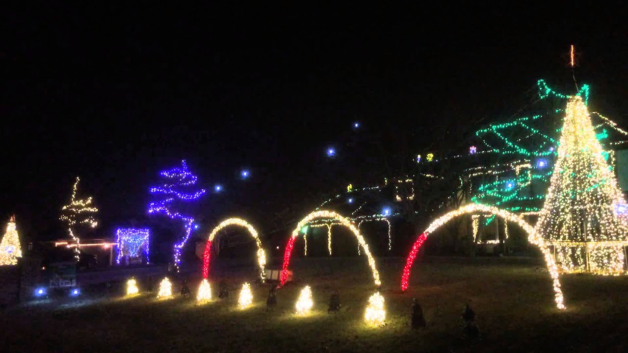 wild synced Christmas lights YouTube