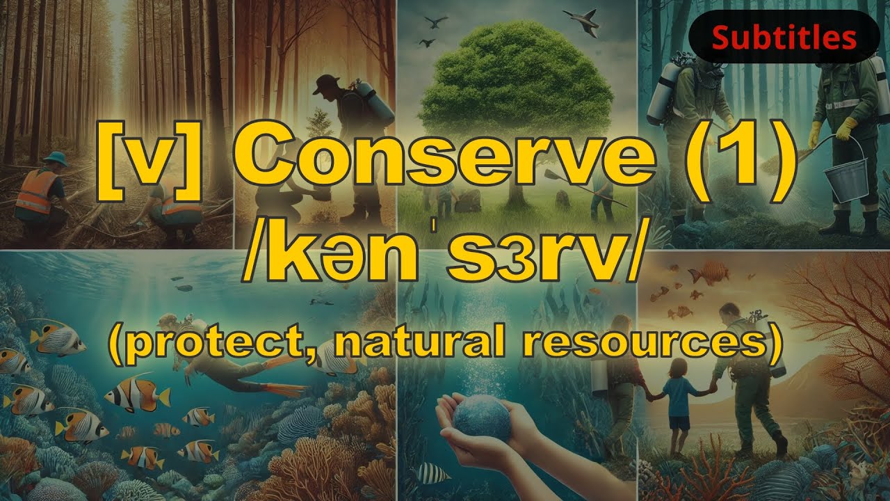 [v] Conserve meaning (protect, natural resources) with 5 examples