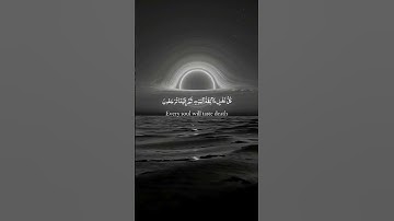#ahmed kedr#surat al hujurat#islam#coran#koran#surah49#las habitaciones privadas#سورة الحجرات#