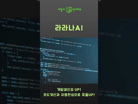 AI개발자의 찐리뷰