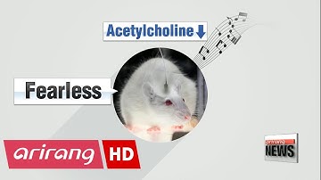 Researchers discover way to delete or enhance individual memories