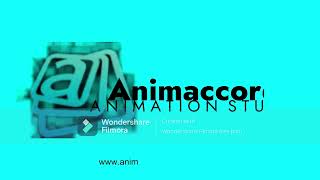 Animaccord Animation Studio Logo 2019