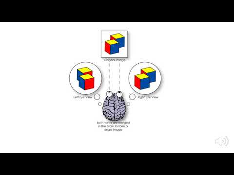 Head Tracking Robot