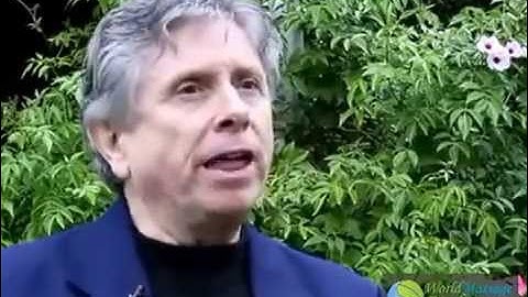 David Palmer Interview for World massage Conference 2013