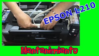 Mantenimiento impresora Epson L210 by JorgeTech98 9,138 views 2 years ago 19 minutes