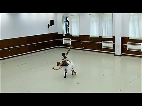 დამშვიდობება „დონ კიხოტთან“