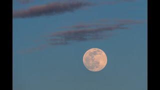 Moon Rise in Fullerton 4k