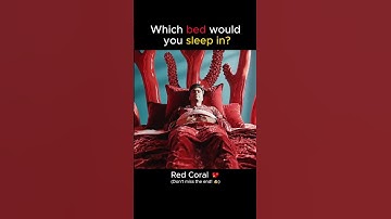 Would you sleep here? ⚓ #HouseTour #Underwater #Dream