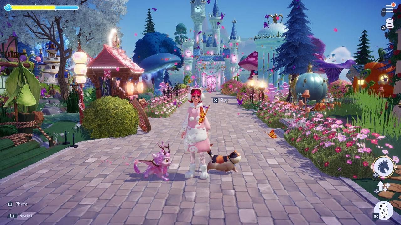 My Forest Butterfly  Garden