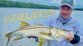 Backcountry Topwater Snook and Tarpon on Gheenoe Classic! (Florida Everglades)