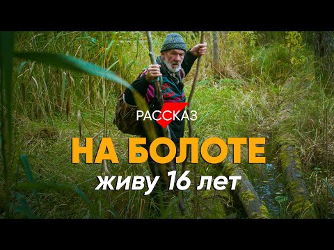 Видео: Увидеть весь мир и спрятаться на болоте: #рассказ моряка-отшельника