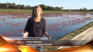 AgDay: 10/15/2013_clip