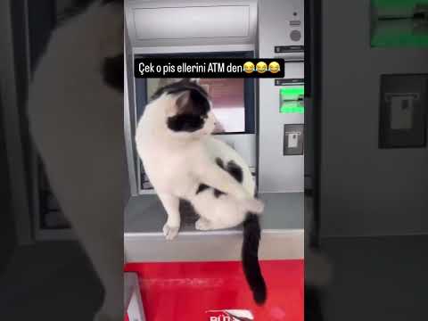 ÖNCE MAMAN SONRA PARAN