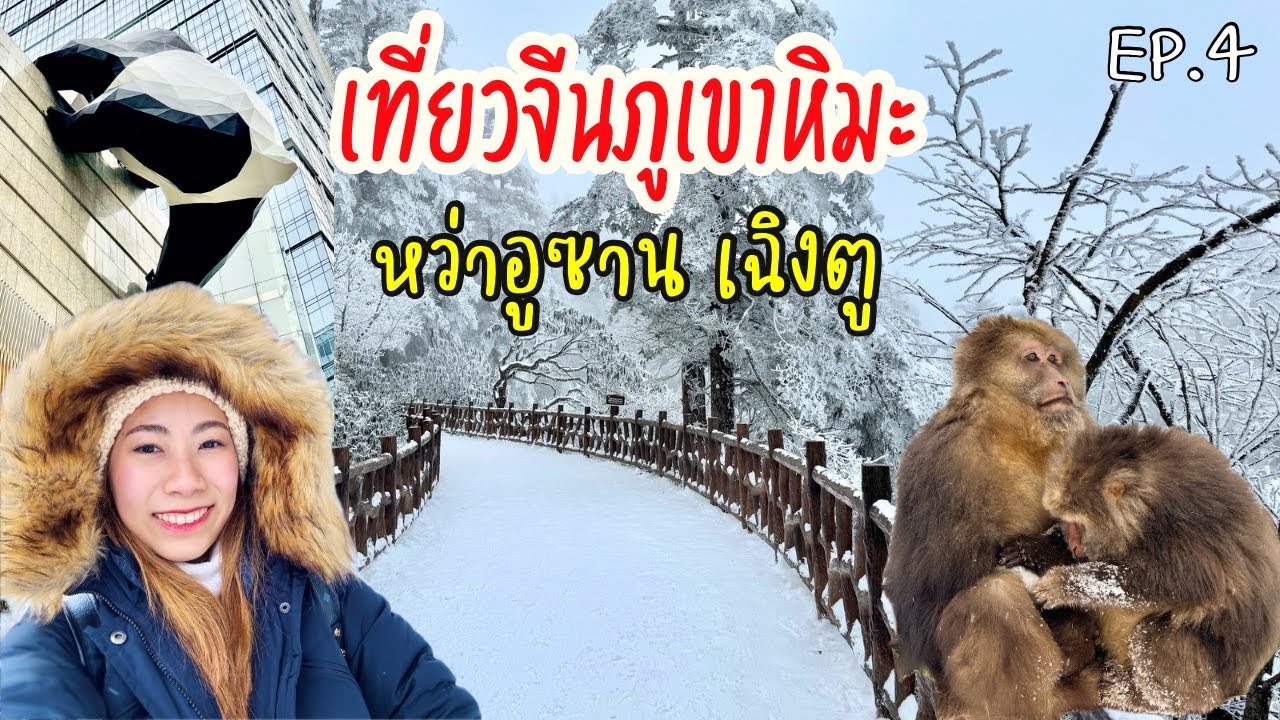 ทัวร์เที่ยวภูเขาหิมะหว่าอูซาน เที่ยวชิวไม่แพ้ที่สูง ตะลึงไปกับหิมะขาวๆ l เที่ยวเฉิงตู l Wawu China