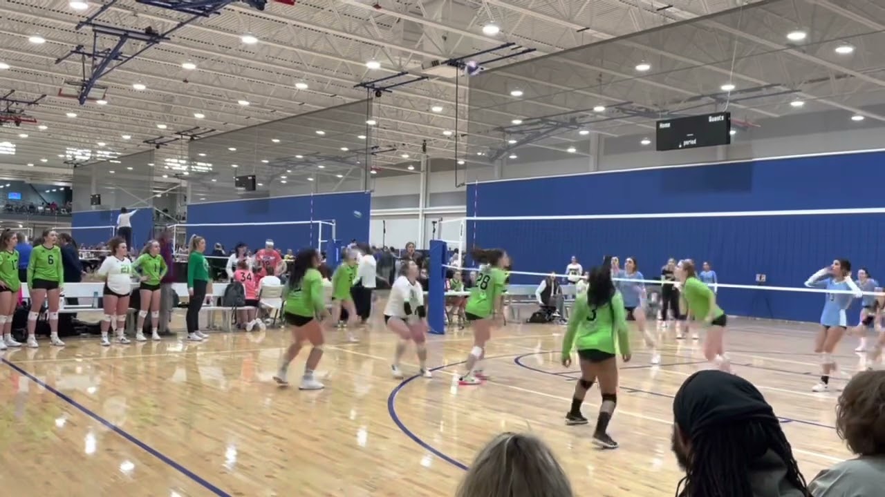 2024 DS/L Claire Ash