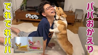 パパの帰りが嬉しすぎるワンコ！ と グッズ情報