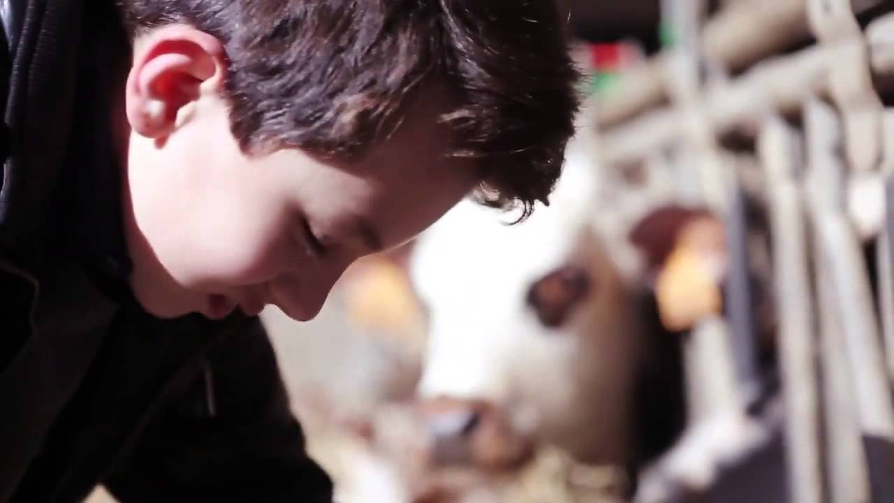 Farming Simulator 14 - Trailer (HD)