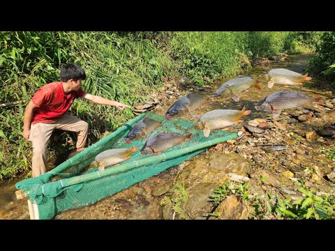 Details of 65 days of fishing in the stream and catching a lot of fish, which were then sold.