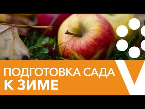 Видео: Насекомые на трубчатой лозе - Информация об уходе за вредителями трубчатой лозы