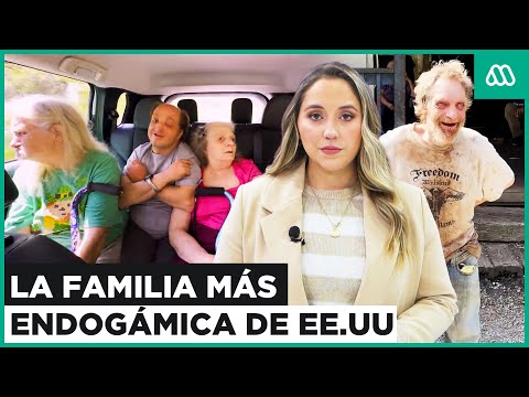 Video: ¿Cuál es la familia más endogámica?