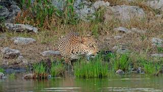 Welcome to Onguma Tamboti  Luxury Campsite