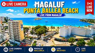🌞 Mallorca Webcam LIVE Magaluf Beach & Punta Ballena 🌴 24/7 | Party & Beach Vibes #magaluf #mallorca