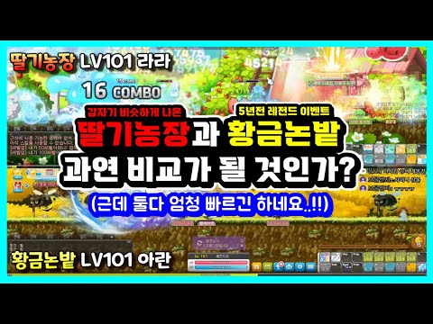 [한자] 메이플 딸기농장 VS 황금논밭 경험치 비교 (딸기농장 좋은점과 아쉬운점 그리고 느낀점) [메이플스토리]
