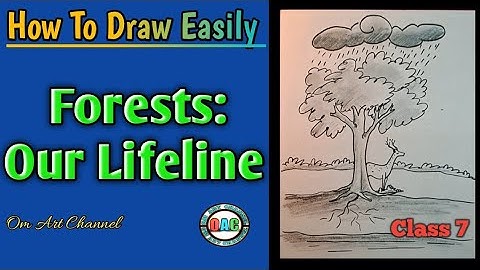 how to draw a forest/forest our lifeline drawing/forest our lifeline class 7