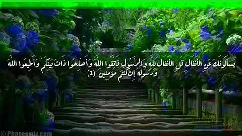 سوره الانفال،⤵نور الدين سليم