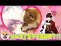 【奈奈阿楞小劇場x新美男宮殿】為了王子拋棄阿楞?!阿楞要哭哭了