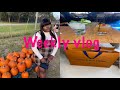 Weekly Vlog | Luxury shopping + pumpkin patch + friend date & More | Iamchelsiejanea