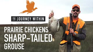 Prairie Chicken and Grouse: The Journey Within  A Bird Hunter's Diary | Mark V Peterson