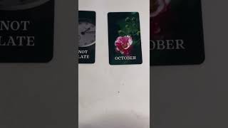 The Answer To The Question On Your Mind