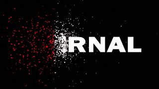 Motion Graphics Showreel 2025 | Logo & Text Animation Showreel Logo & Title Animations"