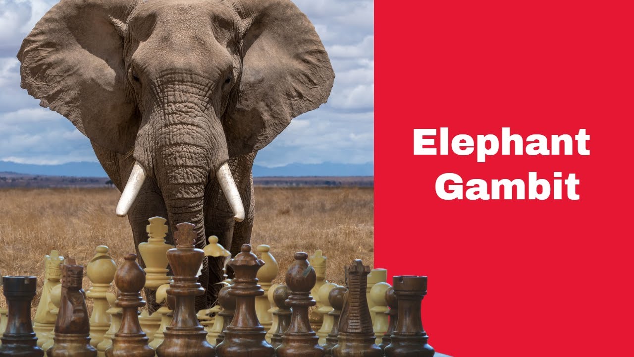 The Elephant Gambit | Cochrane Unleashed | John Cochrane vs Howard Staunton: London 1842