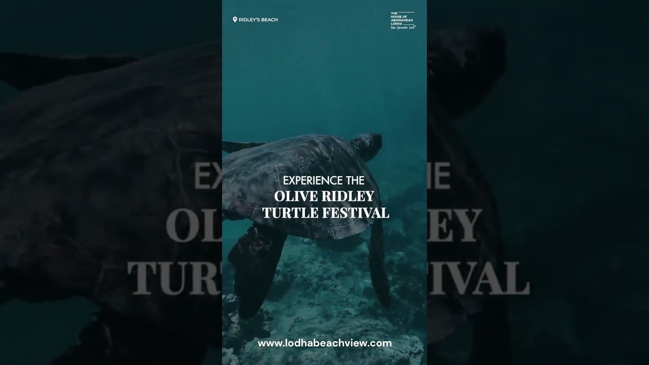 Beachview The House Of Abhinandan Lodha Plots Codename Hoabl Anjarle Dapoli Sea Facing Villa Project