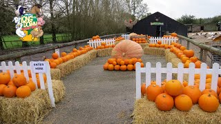 Longdown Activity Farm Full Walkthrough New Forest Family Attraction Halloween [4K]