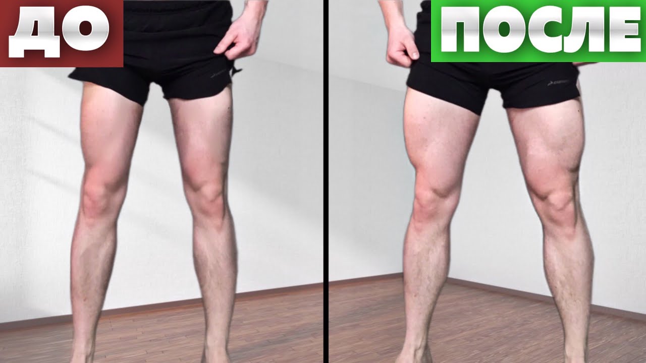 Dsip ������ �����: ����.