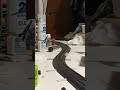 Metro North and NJT Aqua Train Passed by