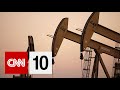 Behavior of Rats and Oil Prices