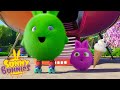 SUNNY BUNNIES - Switching Colours | Season 1 | Cartoons for Children
