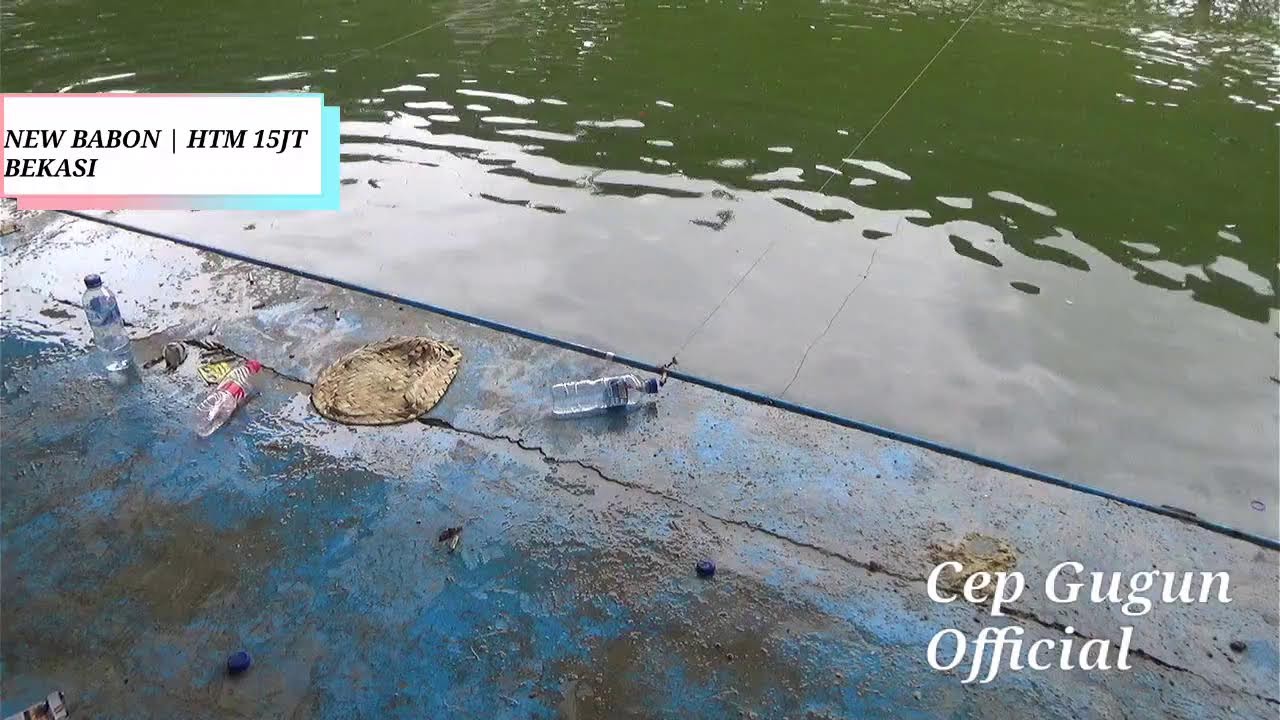 NEW BABON | HTM 15JT