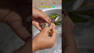 এটর নম ক ???