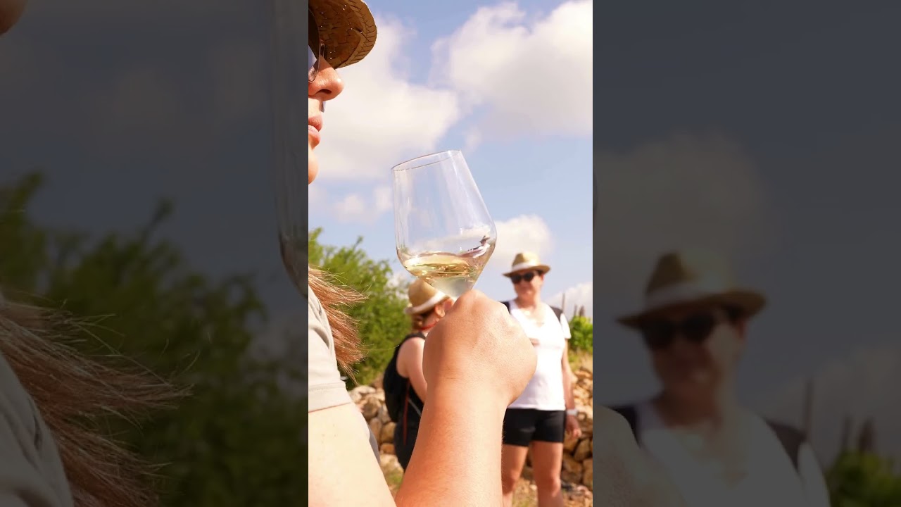 🎥 [ MEMBRE DES CLUBS PARTENAIRES  - CATALAN WINE ESCAPE PERPIGNAN ] 🎥