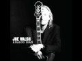 Joe Walsh - India