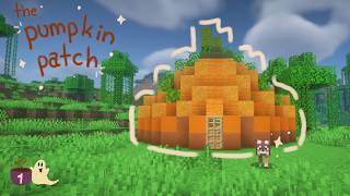The Pumpkin Patch
