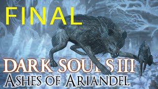 CUSTODIO DE LA TUMBA DEL CAMPEÓN y GRAN LOBO CUSTODIO - DARK SOULS 3 ASHES OF ARIANDEL - CAP FINAL