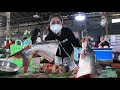 Market show, Buy big fish from the market for cooking / Yummy fried fish cooking