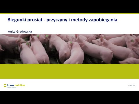 Biegunki u prosiąt - przyczyny i zapobieganie